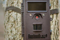 Camera trap